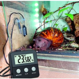   Digitális terrárium hő- és páramérő 30.5044.01 Terracheck