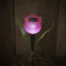 LED-es szolár tulipánlámpa 30 cm
