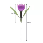 LED-es szolár tulipánlámpa 30 cm