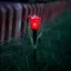 LED-es szolár tulipánlámpa - sárga / piros / rózsaszín - 31 cm 