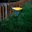 Leszúrható szolár virág - 3 szín - 30 x 10 cm - fehér LED