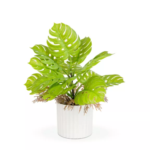Műnövény dekoráció - monstera - 22 x 8,5 cm