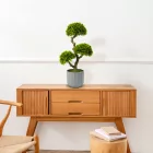 Műnövény dekoráció - bonsai - 55 x 27 cm