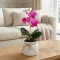 Műnövény dekoráció - orchidea - 3 féle - 32,5 cm