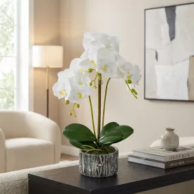 Műnövény dekoráció - orchidea -  53 cm