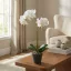 Műnövény dekoráció - orchidea - 2 féle - 54 cm