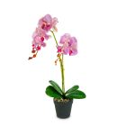 Műnövény dekoráció - orchidea - 2 féle - 54 cm