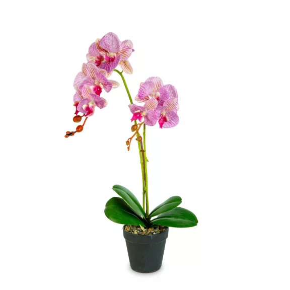 Műnövény dekoráció - orchidea - 2 féle - 54 cm Műnövény dekoráció - orchidea - 2 féle - 54 cm