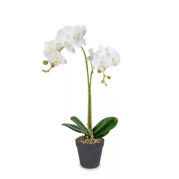 Műnövény dekoráció - orchidea - 2 féle - 54 cm Műnövény dekoráció - orchidea - 2 féle - 54 cm