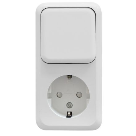 Austin földelt dugalj+váltókapcsoló