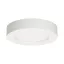 LED mennyezeti lámpa 12W, 800lm