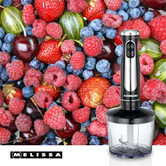MELISSA botmixer készlet, 600 W | 2 sebességfokozat | Változtatható sebességbeállítás | Mini aprító | Habverő | Turmix