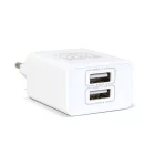 USB Hálózati adapter