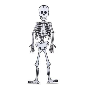   Halloween-i dekoráció - csontváz - habszivacs - 85 x 18 cm