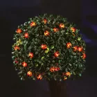 Szolár LED fényfüzér - katicabogár - 2,4 m - 25 LED - melegfehér