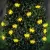 Szolár LED fényfüzér - méhecske - 2,4 m - 25 LED - melegfehér