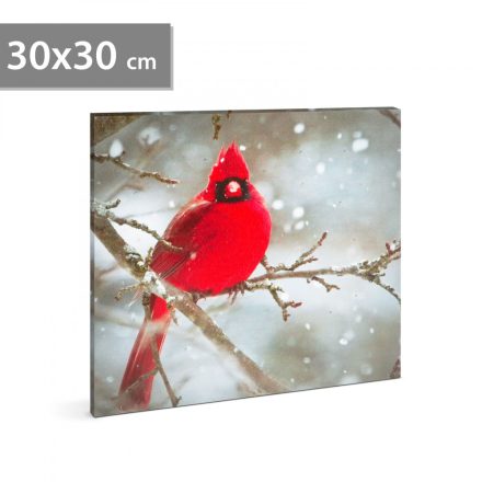LED-es fali kép - vörös pinty - 30 x 30 cm