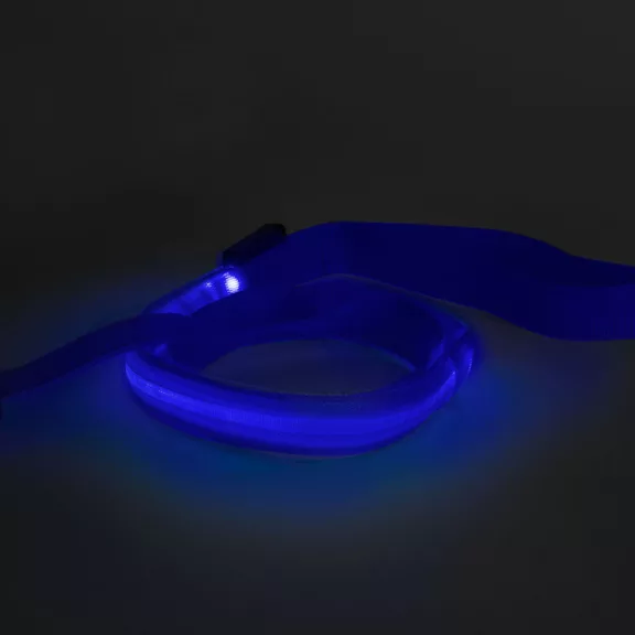 LED-es póráz - akkumulátoros - 120 x 2,5 cm - kék LED-es póráz - akkumulátoros - 120 x 2,5 cm - kék