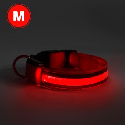 Yummie LED-es nyakörv - akkumulátoros - M méret - piros 60028B