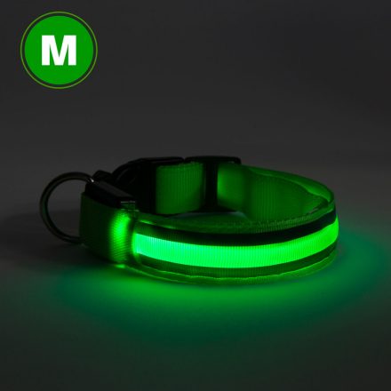 Yummie LED-es nyakörv - akkumulátoros - M méret - zöld 60028D