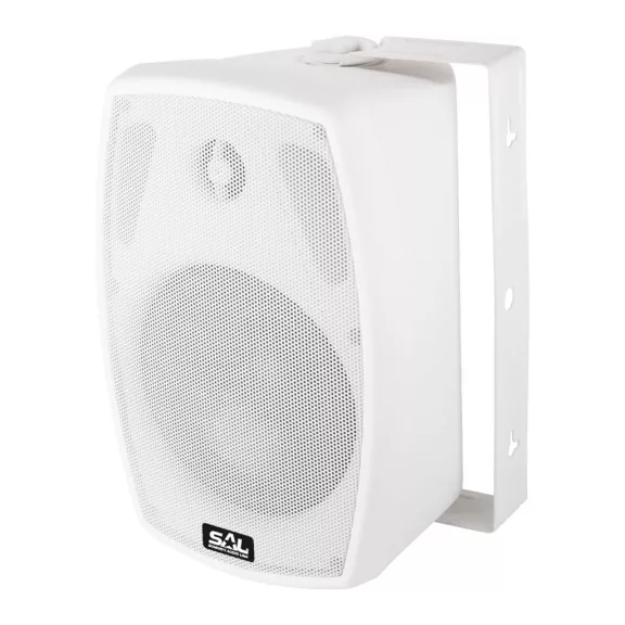 SAL BXB 100/8, 2 utas hangdoboz, 2 in 1, 60 W / 8 Ohm, 40 W / 100 V, Bass reflex, billenthető, forgatható SAL BXB 100/8, 2 utas hangdoboz, 2 in 1, 60 W / 8 Ohm, 40 W / 100 V, Bass reflex, billenthető, forgatható
