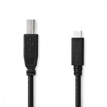USB kábel | USB 2.0 | USB-C™ Dugasz | USB-B Dugasz | 480 Mbps | Nikkelezett | 1.00 m | Kerek | PVC | Fekete | Label