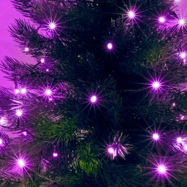   Home KII 100/P LED-es fényfüzér, 8 m / 100 db pink LED, állófényű, zöld vezeték, hálózati adapter, beltéri kivitel