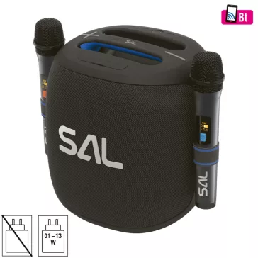   SAL PARCUBE boombox, 100 W, 2db vezeték nélküli mikrofon, 5db hangszóró, LED fényeffekt, IPX6 védelem, bluetooth