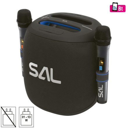 SAL PARCUBE boombox, 100 W, 2db vezeték nélküli mikrofon, 5db hangszóró, LED fényeffekt, IPX6 védelem, bluetooth