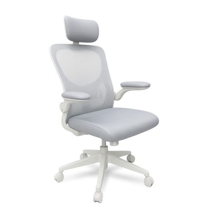 Flexo ergonomikus irodai forgószék deréktámasszal